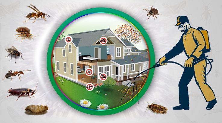 Avcılar Böcek İlaçlama